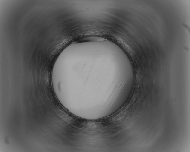 X0000091460305200709131739
