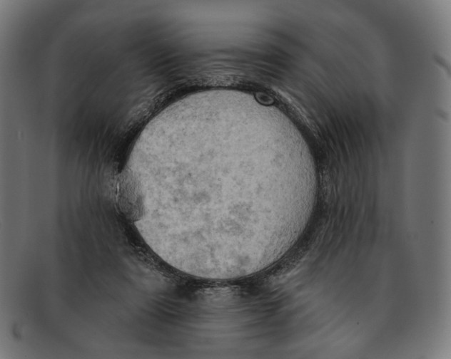 X0000091460307200709131739