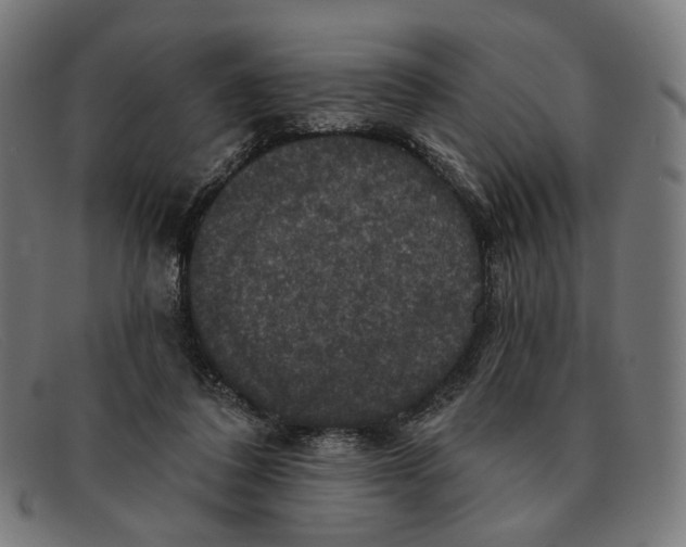 X0000091460308200709131739