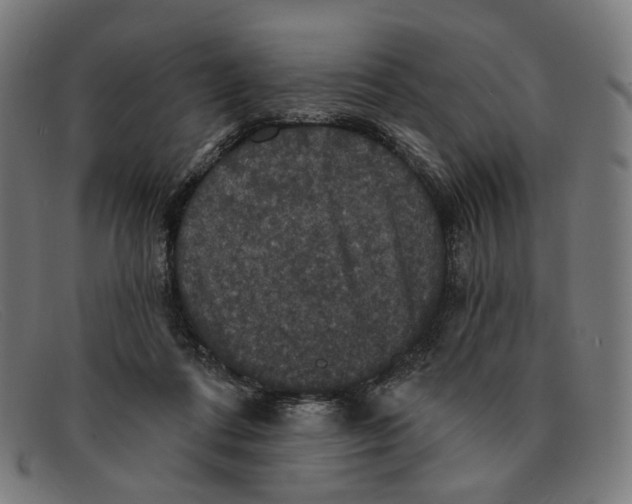 X0000091460312200709131739
