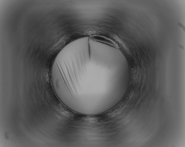 X0000091460313200709131739