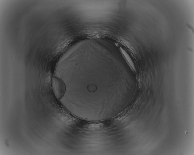 X0000091460314200709131739