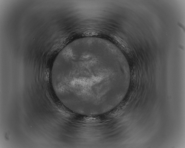 X0000091460315200709131739