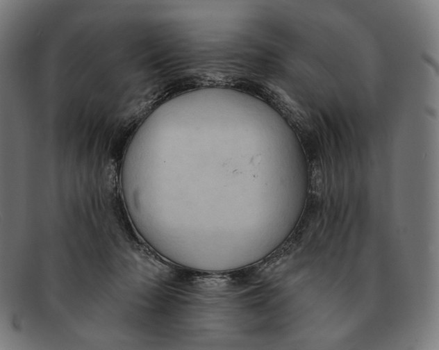 X0000091460318200709131738