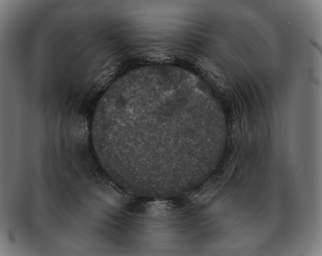 X0000091460320200709131738