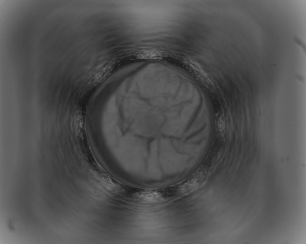 X0000091460322200709131738