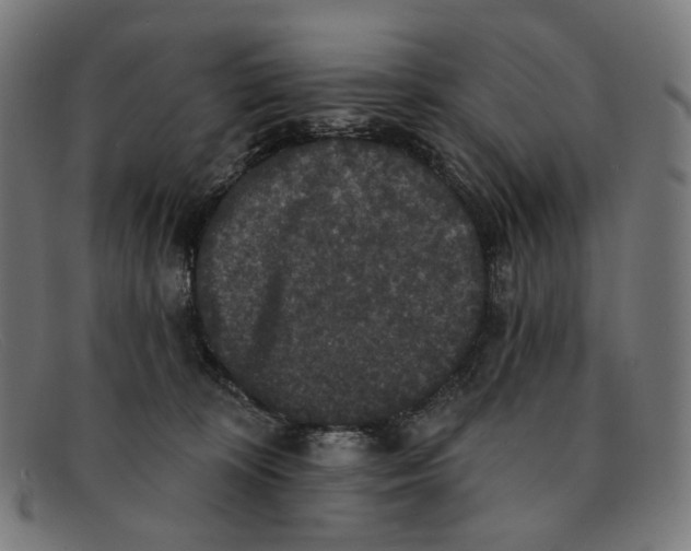 X0000091460324200709131738