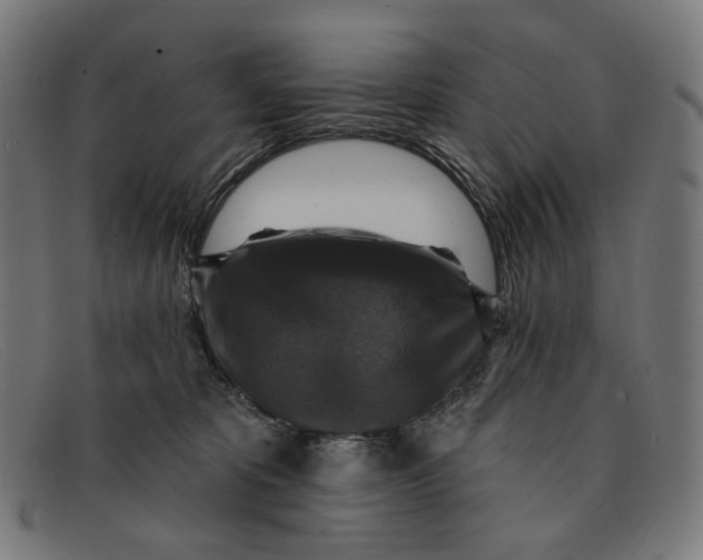 X0000091460325200709131738