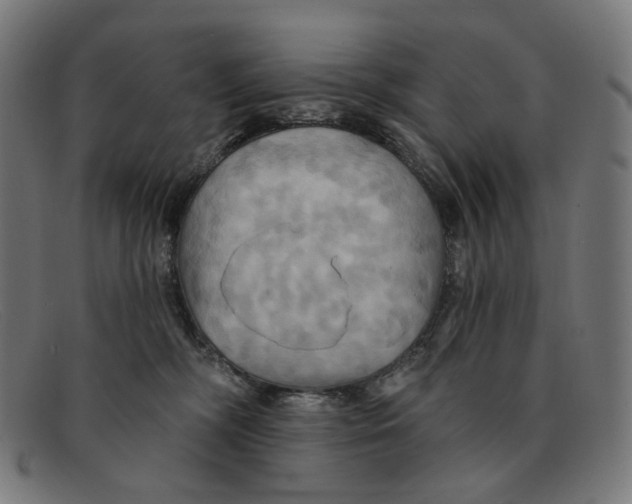 X0000091460326200709131738