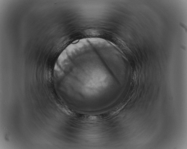 X0000091460330200709131738