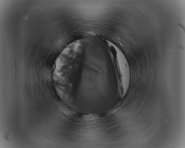 X0000091460331200709131738