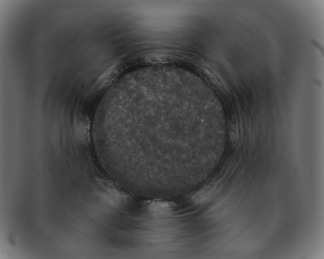 X0000091460332200709131738