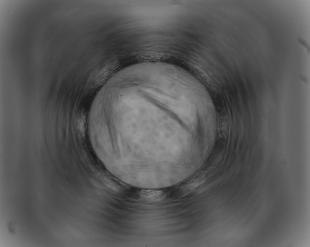 X0000091460334200709131738