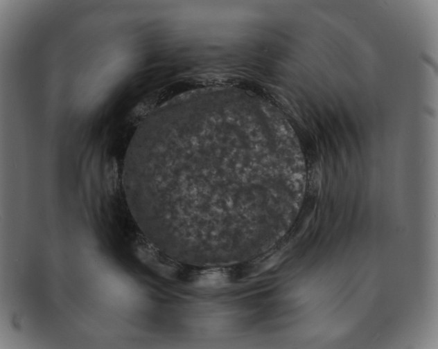 X0000091460335200709131738