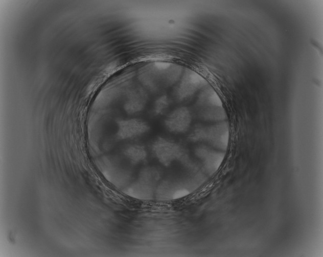 X0000091460337200709131738