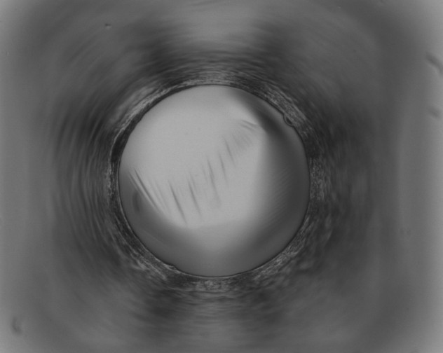 X0000091460338200709131738
