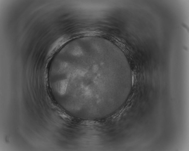 X0000091460339200709131738