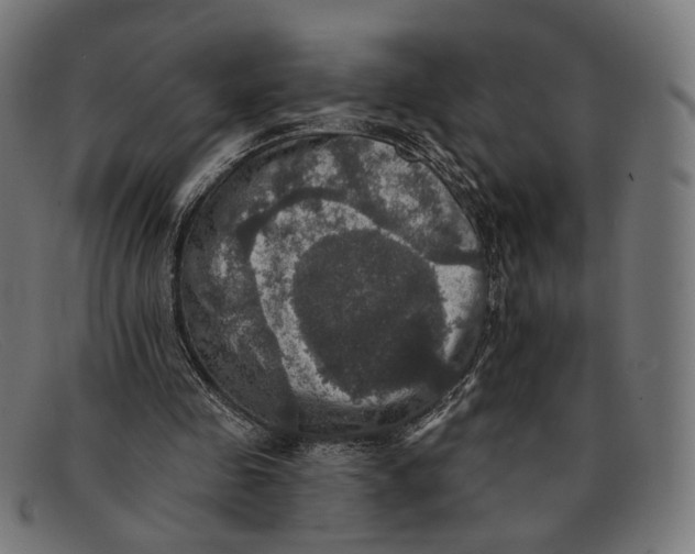 X0000091460341200709131738
