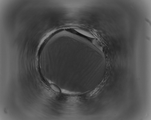 X0000091460342200709131738