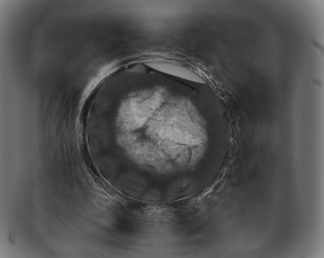 X0000091460343200709131738