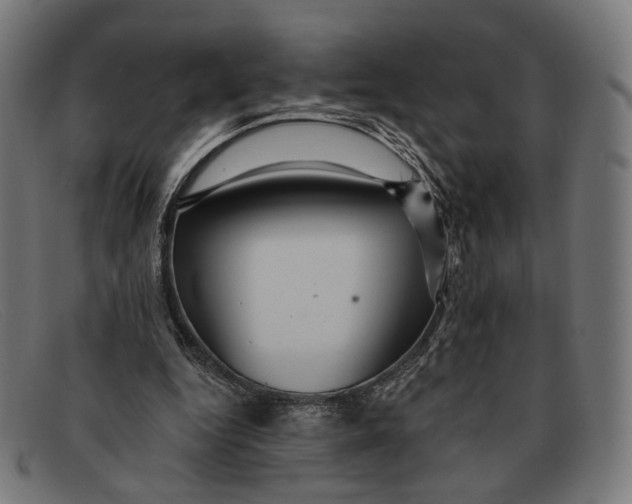 X0000091460344200709131738