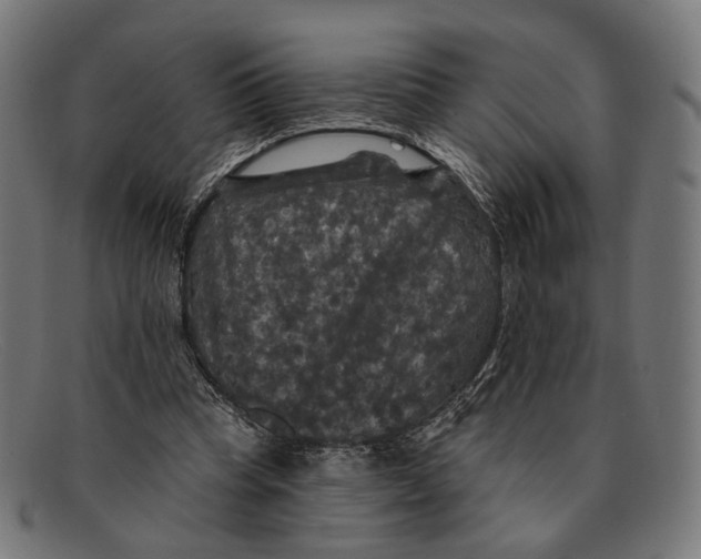 X0000091460345200709131738