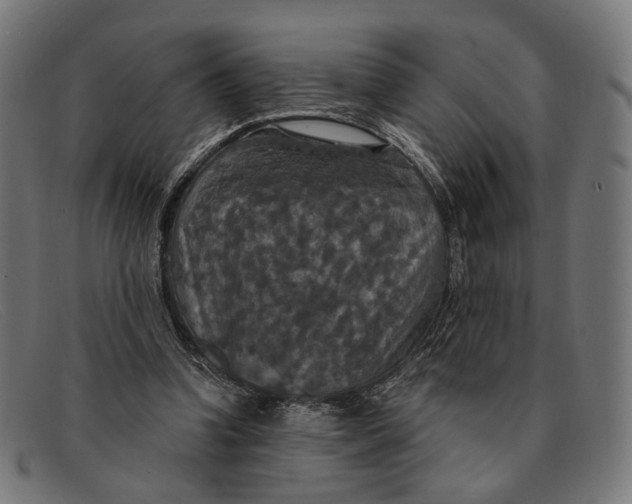X0000091460346200709131738