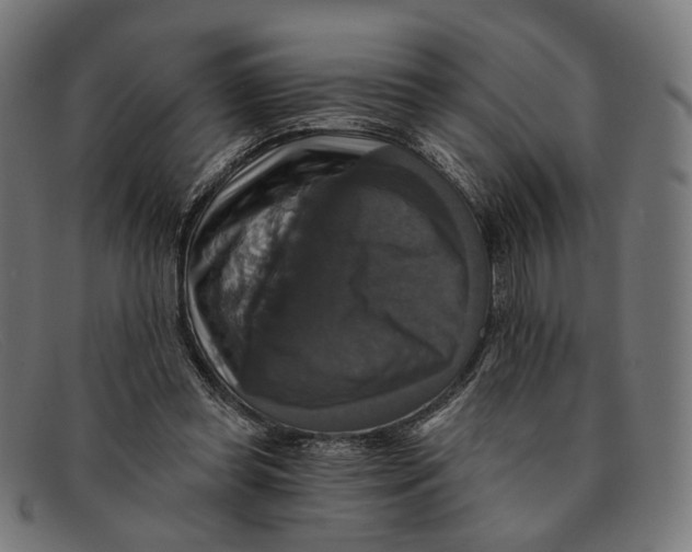 X0000091460349200709131738