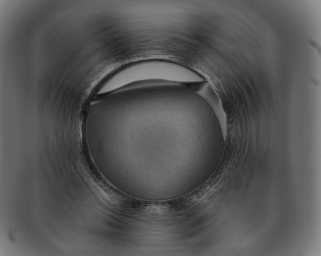 X0000091460350200709131738