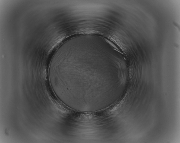 X0000091460351200709131738