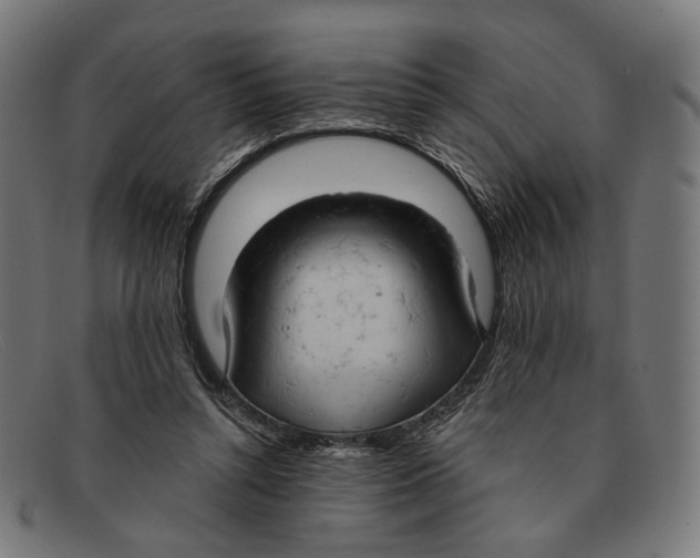 X0000091460352200709131738