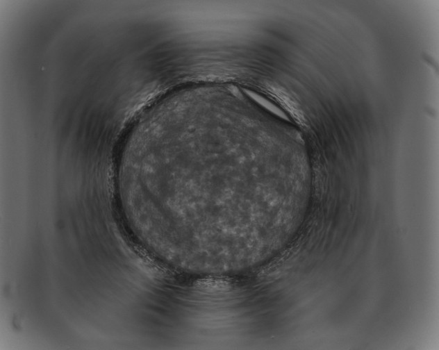 X0000091460354200709131738
