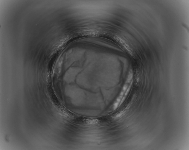 X0000091460355200709131738