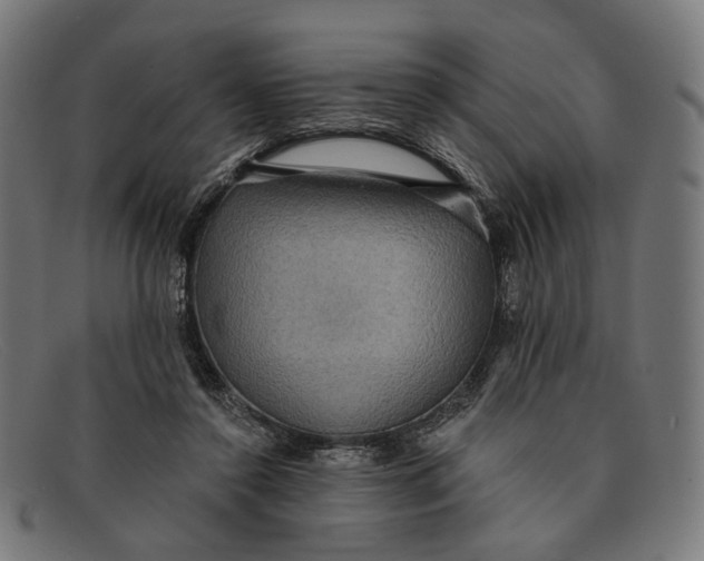 X0000091460356200709131738