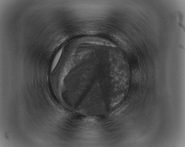 X0000091460358200709131738