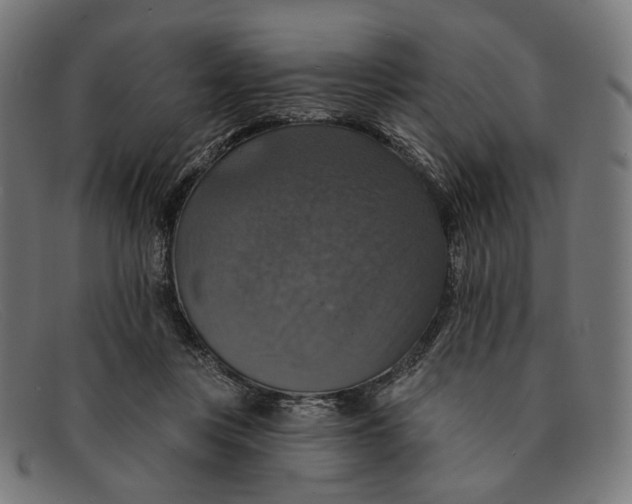 X0000091460359200709131738