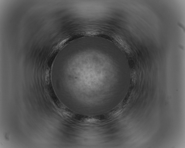 X0000091460360200709131738