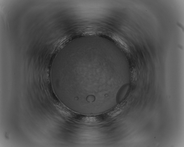 X0000091460361200709131738