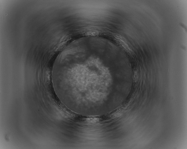 X0000091460363200709131738