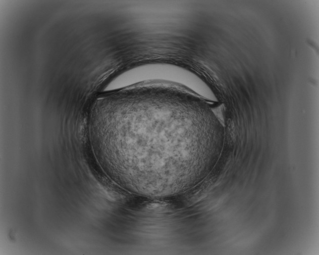 X0000091460364200709131738