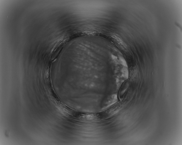 X0000091460365200709131738