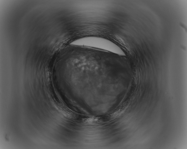 X0000091460366200709131738