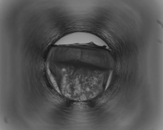 X0000091460367200709131738