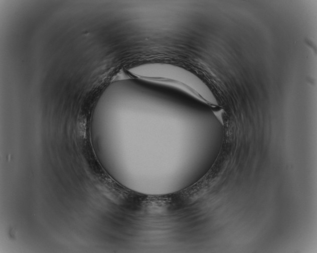 X0000091460368200709131738