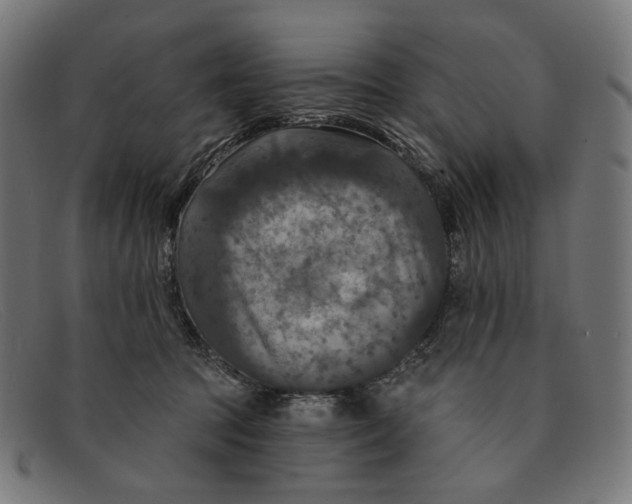 X0000091460369200709131738