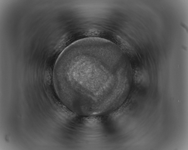 X0000091460370200709131738