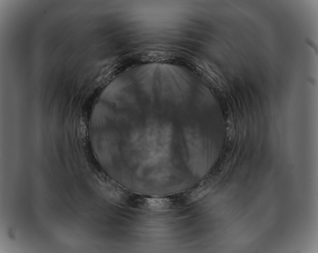 X0000091460371200709131738