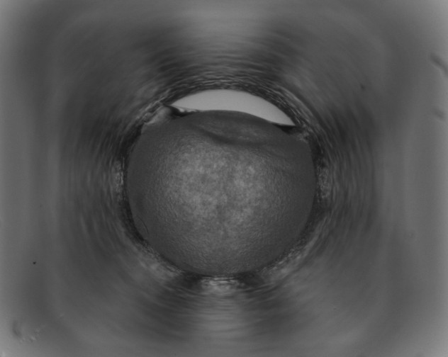 X0000091460372200709131738
