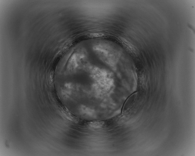 X0000091460373200709131738