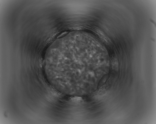 X0000091460374200709131738